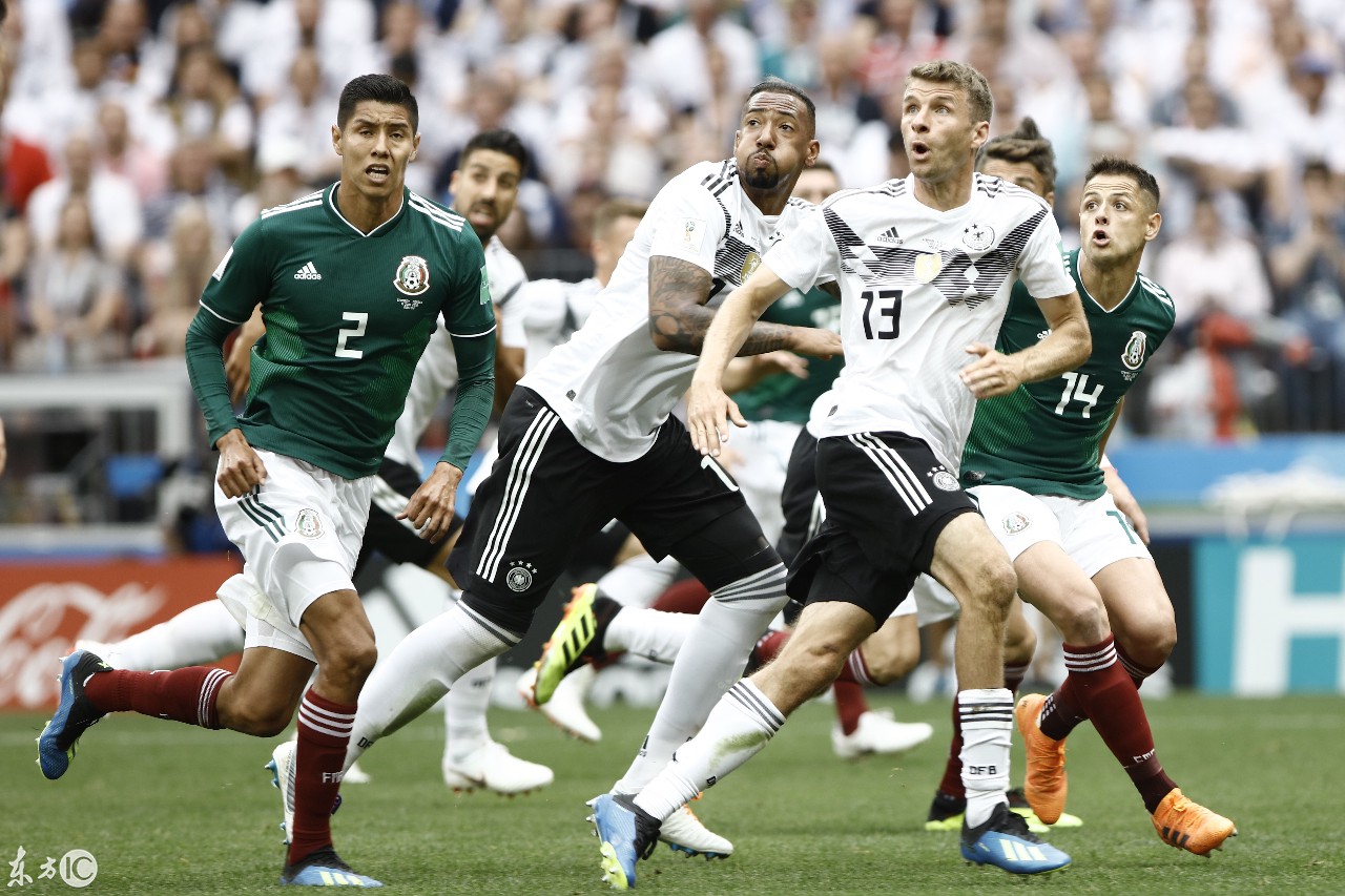 孟菲斯灰熊训练开放日，加时末段强势反弹引欢呼，荷甲在即，临场指挥获称赞